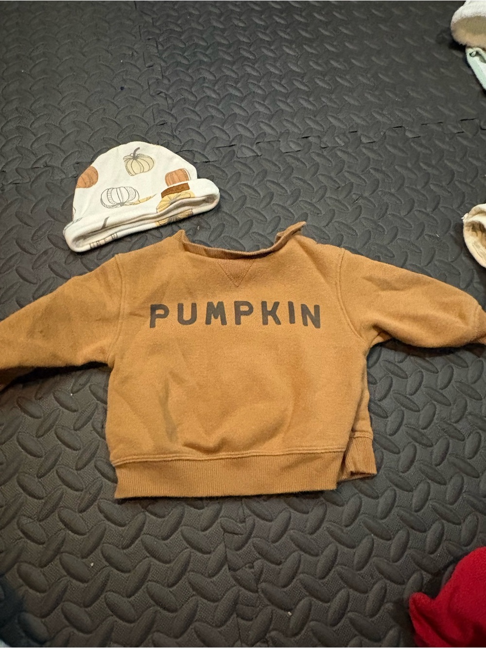 Baby Fall Sweatshirt with hat